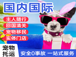 阿拉善航空邮寄国际宠物托运 【国